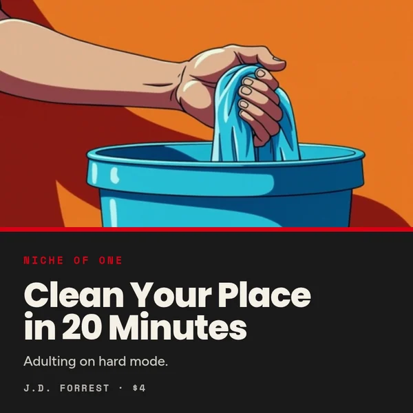 Clean Your Place in 20-minutes cover